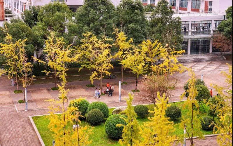 2023年成都师范学院在湖南招生专业及招生人数汇总(2024考生参考)