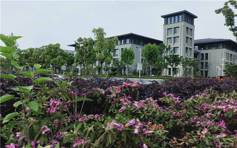浙江综合考生排多少名可以上南京师范大学中北学院物联网工程专业?
