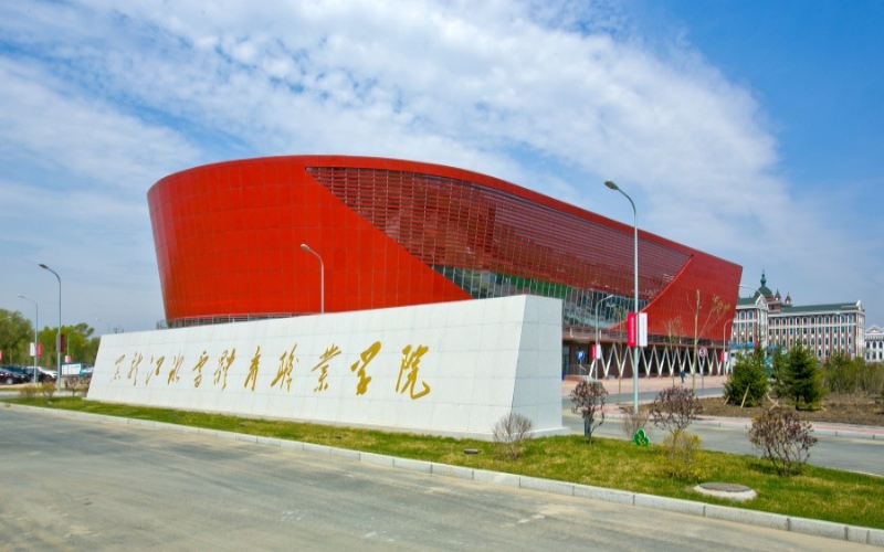 黑龙江冰雪体育职业学院2021年在河南省招生专业及各专业招生计划人数
