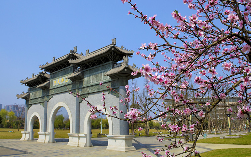 【2022高考参考】西南财经大学特拉华数据科学学院2021年辽宁最低录取分数及位次