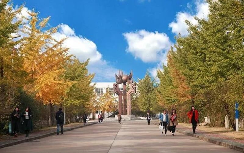 ★唐山师范学院2022重庆招生计划_唐山师范学院2022重庆招生专业及招生人数汇总