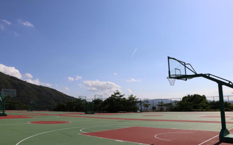 2024考生参考：2023福州外语外贸学院金融学专业在浙江招生录取分数及录取位次