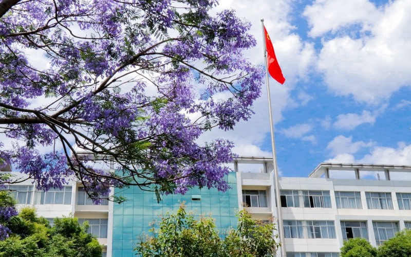 河北物理类考生排多少名可以上云南医药健康职业学院医学影像技术专业?