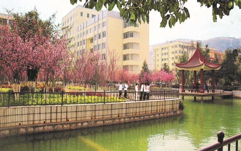 【2022高考】云南医药健康职业学院在山东各专业录取分数线及选科要求