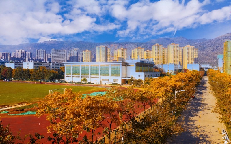 2023年云南医药健康职业学院在山东招生专业及招生人数汇总