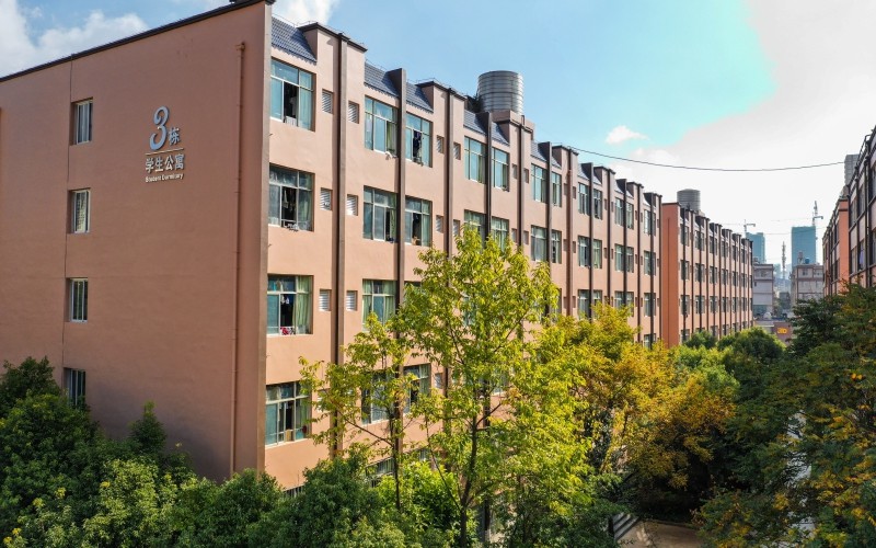 云南医药健康职业学院针灸推拿专业在河北招生录取分数(历史类)：239分