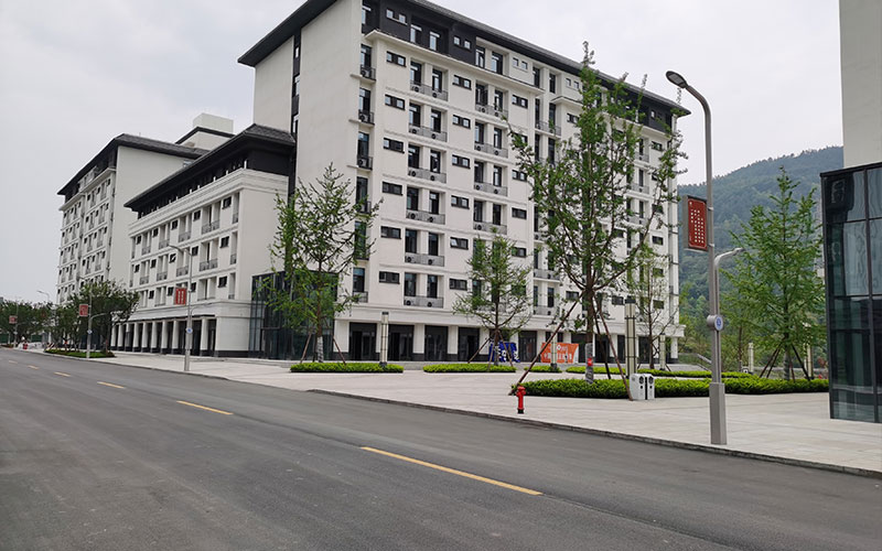 宜宾学院音乐学专业在四川招生录取分数(艺术类)：251分