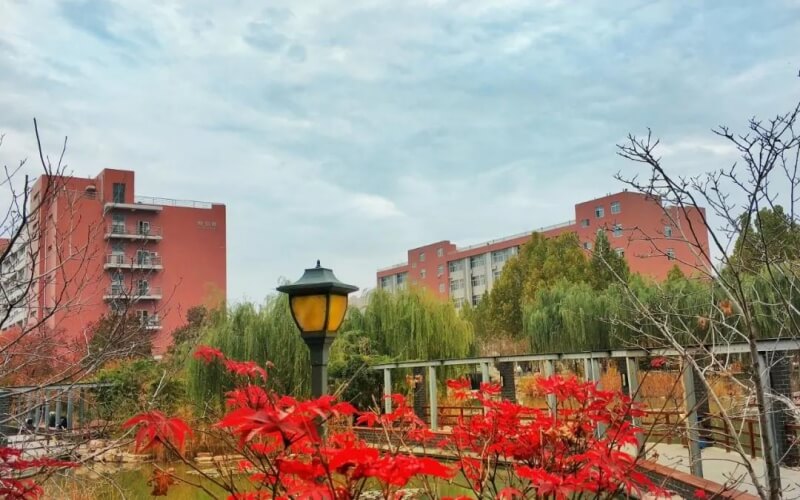 安阳师范学院历史学类专业在浙江招生录取分数(综合)：575分