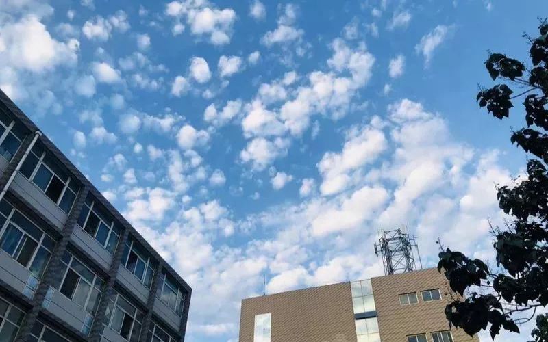 宁夏大学新华学院工商管理（人力资源方向）专业在河北招生录取分数(历史类)：471分