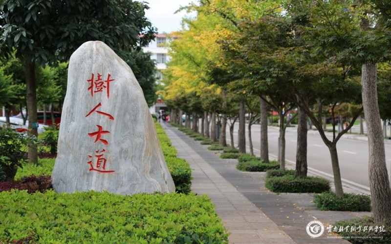 2023年云南林业职业技术学院各历史类专业在重庆招生分数是多少？
