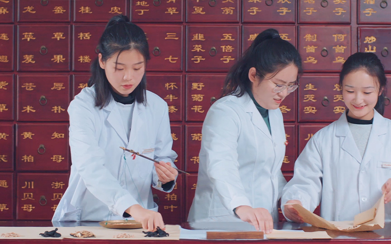 多少分可以上河南应用技术职业学院？河南应用技术职业学院2022年在陕西各招生专业录取分数汇总