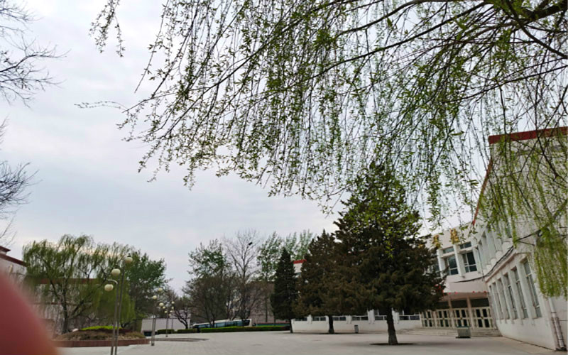 山西旅游职业学院在内蒙古各专业录取分数一览表(含2021-2020历年)
