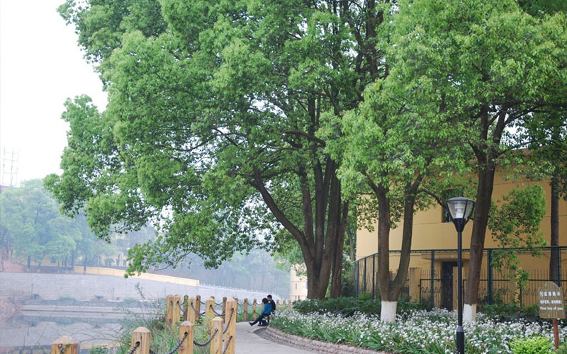 2023年成都理工大学工程技术学院各历史类专业在辽宁招生分数是多少？