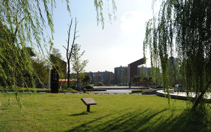 成都理工大学工程技术学院软件工程专业录取分数线【河北高考物理类】