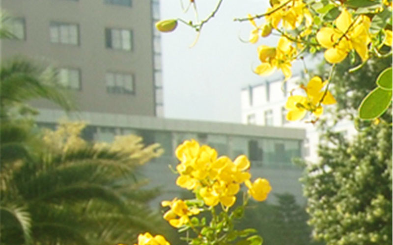 2023年攀枝花学院在四川招生专业及招生人数汇总