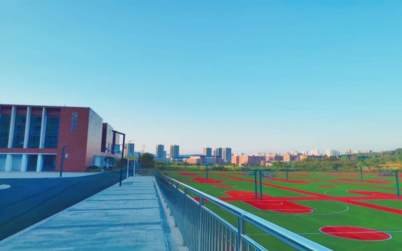 【2022高考】绵阳飞行职业学院在重庆各专业录取分数线及选科要求