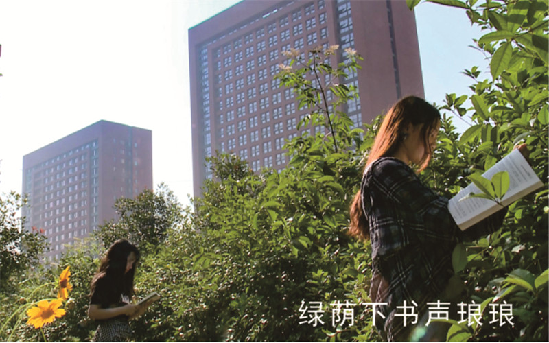 2023年重庆智能工程职业学院在四川招生专业及招生人数汇总(2024考生参考)