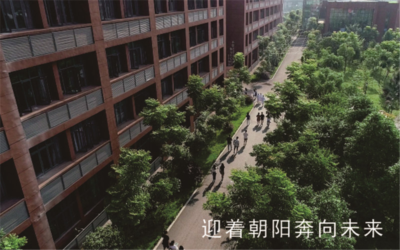 重庆智能工程职业学院信息安全技术应用专业录取分数线【重庆高考历史类】