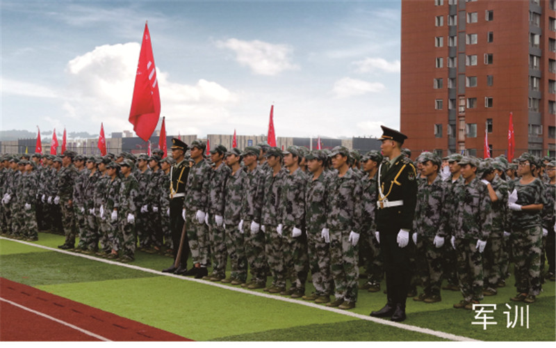2023年重庆智能工程职业学院在新疆录取批次及录取分数参考