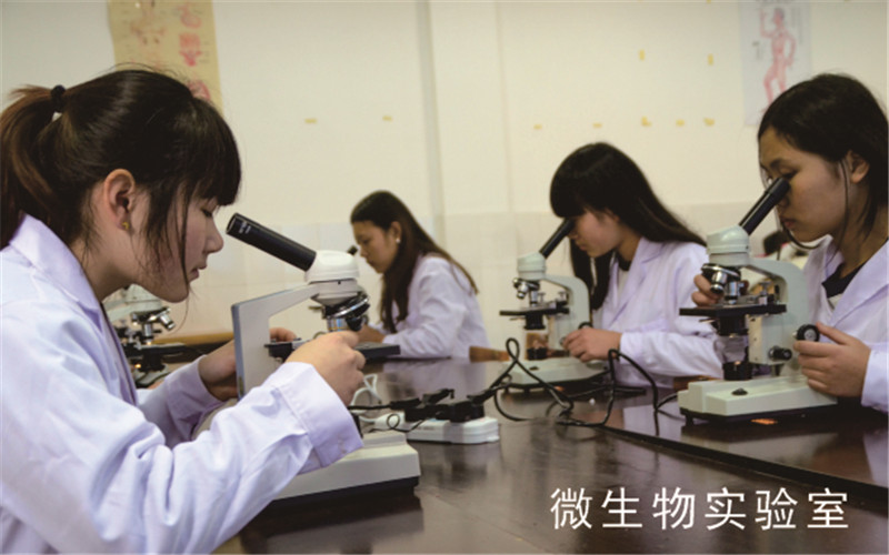 河北物理类考生排多少名可以上重庆智能工程职业学院医学检验技术专业?