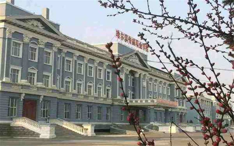2024考生参考：2023哈尔滨传媒职业学院影视编导专业在河北招生录取分数及录取位次