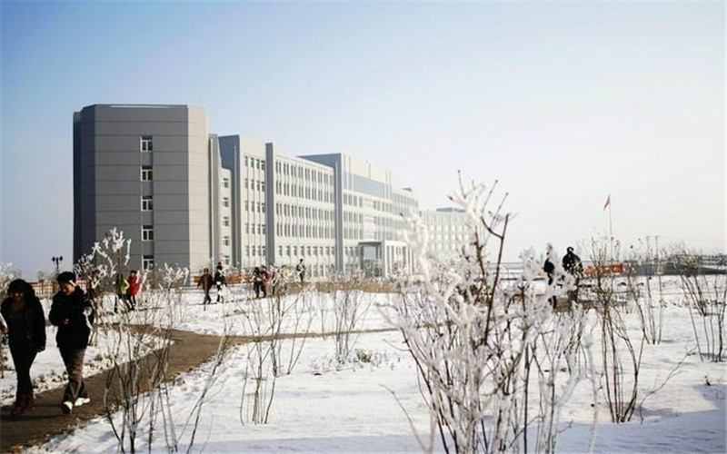 哈尔滨城市职业学院护理专业录取分数线【辽宁高考物理类】