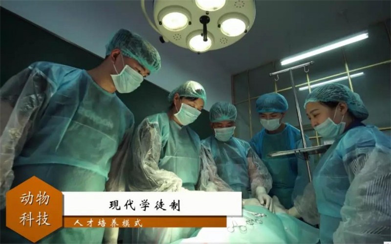 黑龙江农业职业技术学院空中乘务专业录取分数线【黑龙江高考理科】