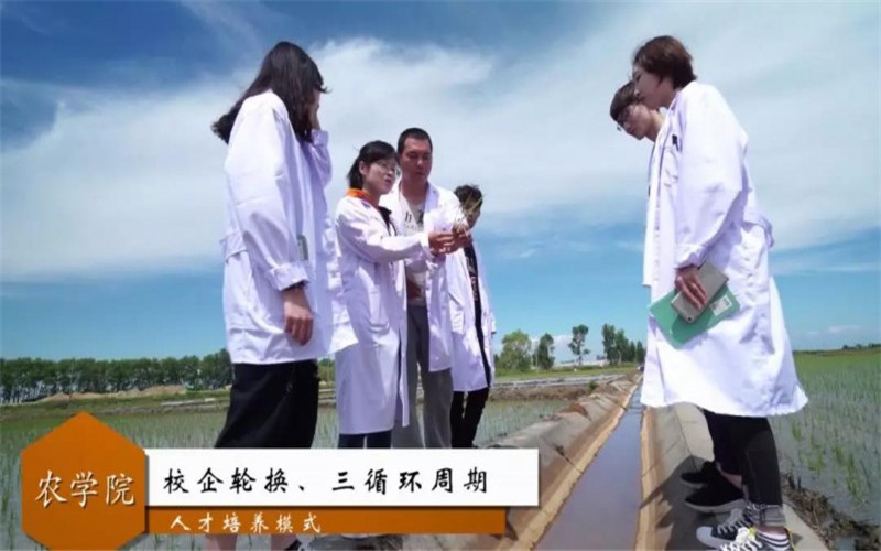 2023年黑龙江农业职业技术学院在四川录取批次及录取分数参考
