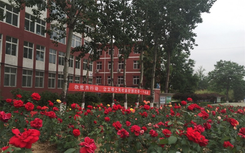 黑龙江三江美术职业学院软件技术专业录取分数线【黑龙江高考文科】