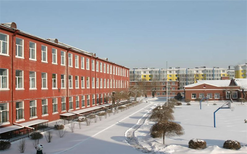 多少分可以上黑龙江艺术职业学院？黑龙江艺术职业学院2022年在甘肃各招生专业录取分数汇总