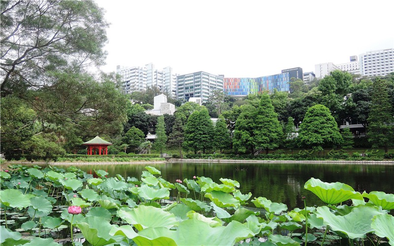 2023年香港中文大学在广东招生专业有哪些？学费是多少？
