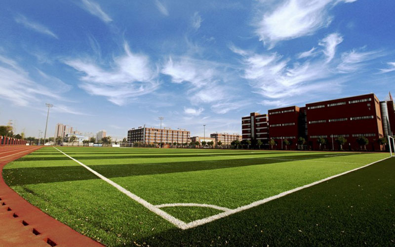 2024考生参考：2023中国矿业大学（北京）土木工程专业在山东招生录取分数及录取位次