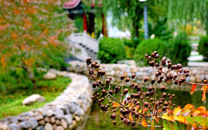 中国矿业大学（北京）智能建造专业在山东招生录取分数(综合)：583分