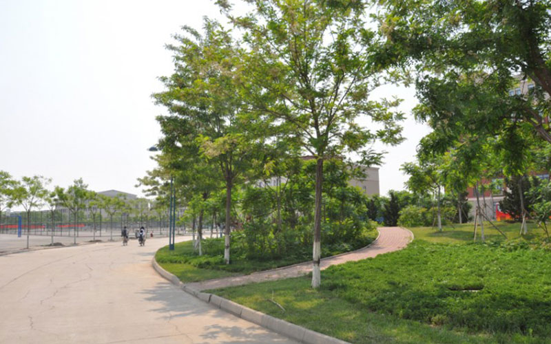 多少分可以上南开大学滨海学院？南开大学滨海学院2021年在新疆各专业录取分数线