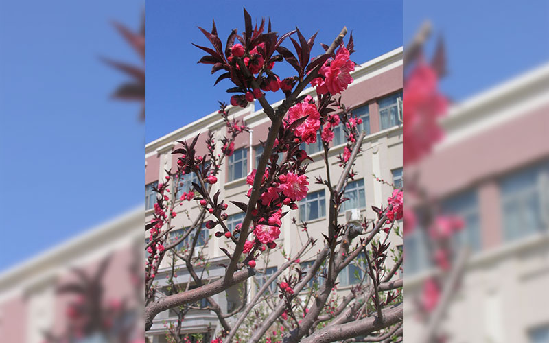 多少分可以上南开大学滨海学院？南开大学滨海学院2021年在山西各专业录取分数线