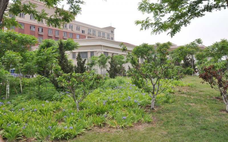 多少分可以上南开大学滨海学院？南开大学滨海学院2021年在北京各专业录取分数线
