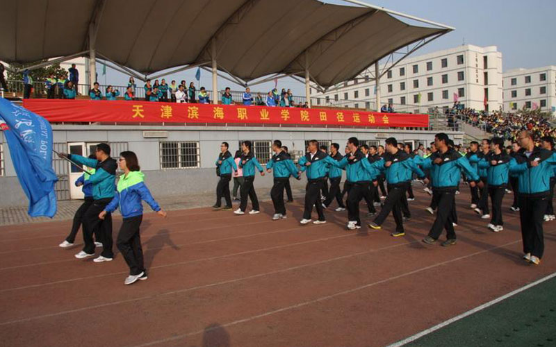 2023年天津滨海职业学院在辽宁录取批次及录取分数参考