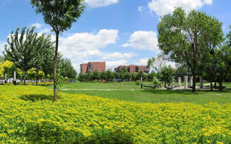 2023年内蒙古考生多少分可以上天津理工大学材料物理专业？