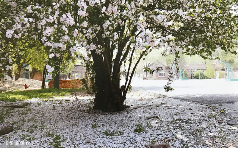 天津医学高等专科学校药品经营与管理专业在辽宁招生录取分数(物理类)：428分