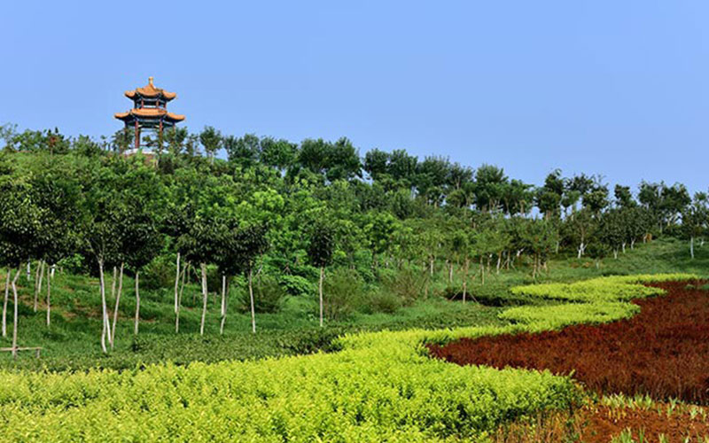 天津中医药大学中医学类（五年制）专业录取分数线【北京高考综合】