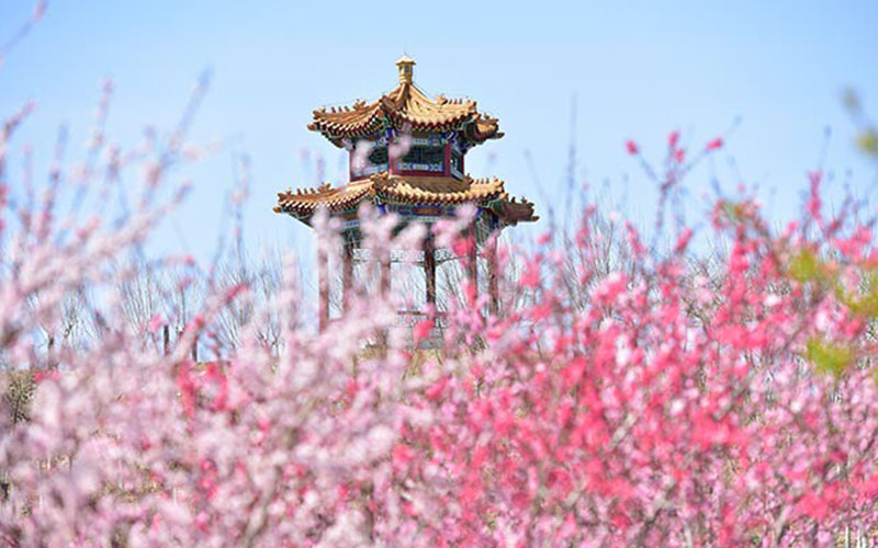 2023年浙江考生多少分可以上天津中医药大学预防医学专业？