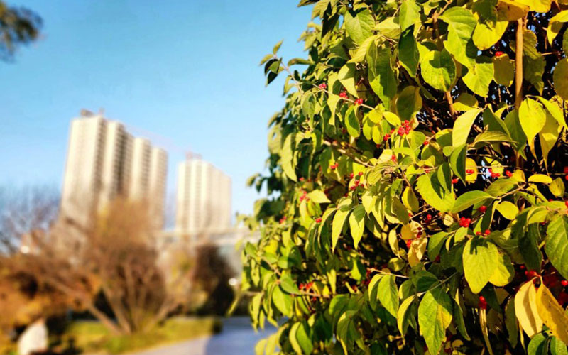 山西财经大学文化产业管理专业在山西招生录取分数(理科)：447分
