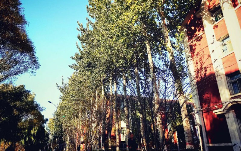 山西大学汉语言文学专业在陕西招生录取分数(文科)：538分