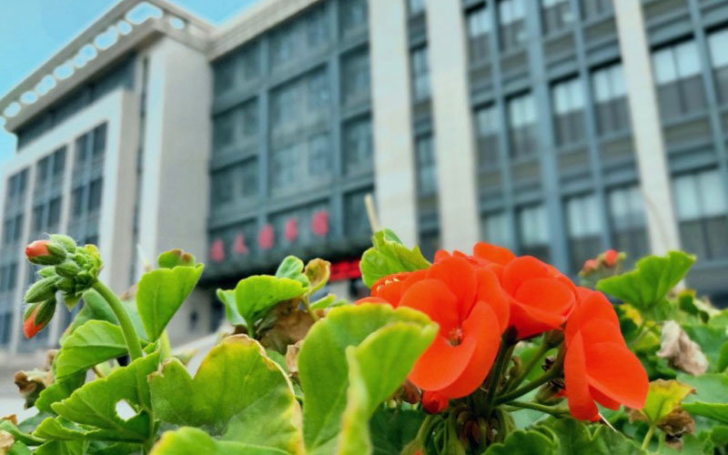 2024考生参考：2023太原工业学院经济学专业在浙江招生录取分数及录取位次