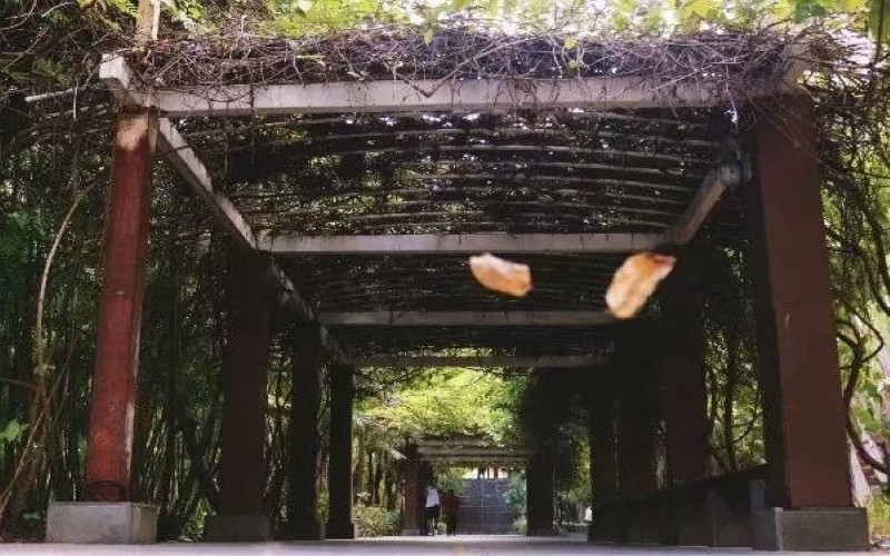 ★三亚航空旅游职业学院2022湖南招生计划_三亚航空旅游职业学院2022湖南招生专业及招生人数汇总