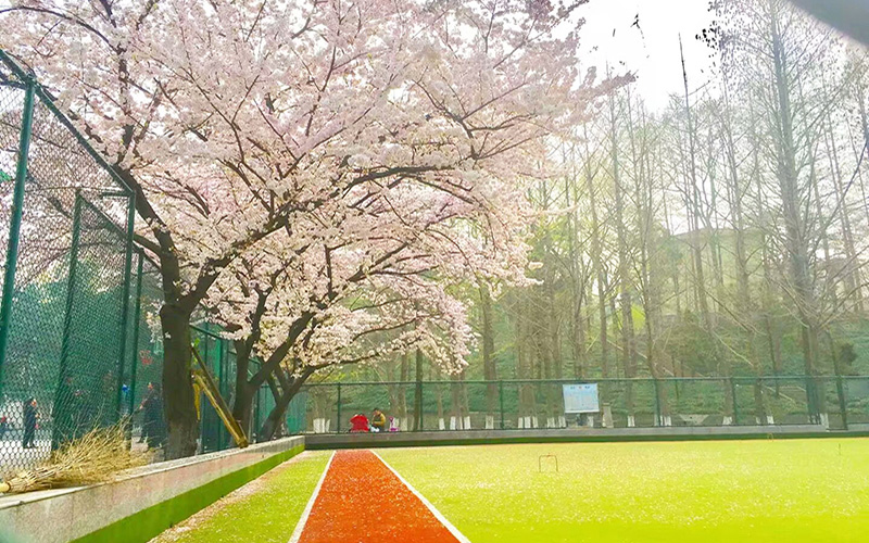 多少分可以上信阳师范学院？信阳师范学院2022年在新疆各招生专业录取分数汇总