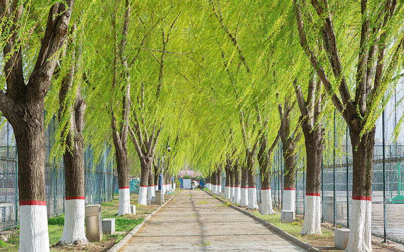 2023年河南工业职业技术学院在辽宁录取批次及录取分数参考