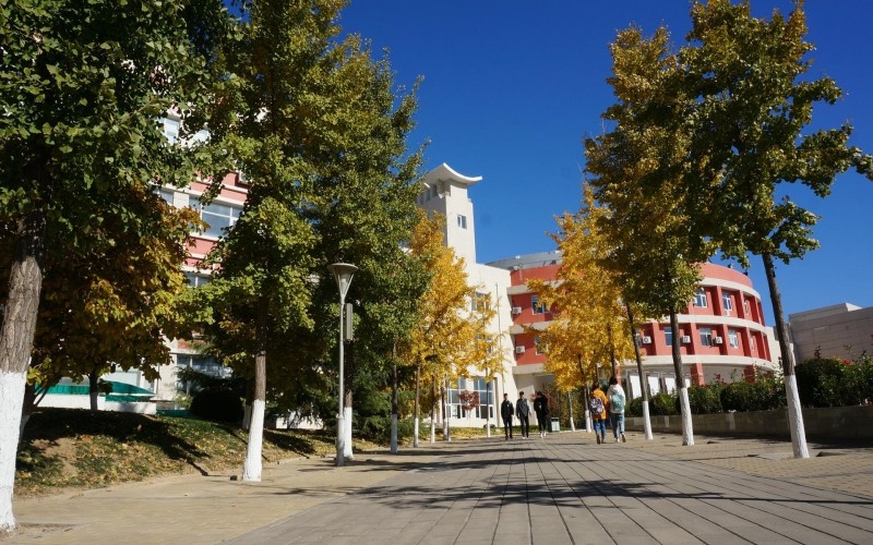 【2023高考参考】北京劳动保障职业学院2022年河北招生专业及招生计划一览表
