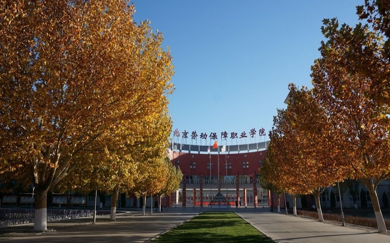 2024考生参考：2023北京劳动保障职业学院安全技术与管理（燃气方向）专业在内蒙古招生录取分数及录取位次