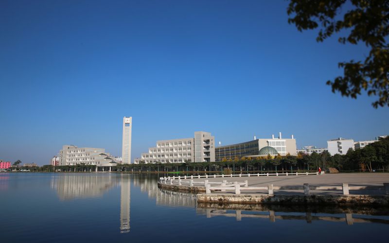 2023年红河学院在山东招生专业及招生人数汇总